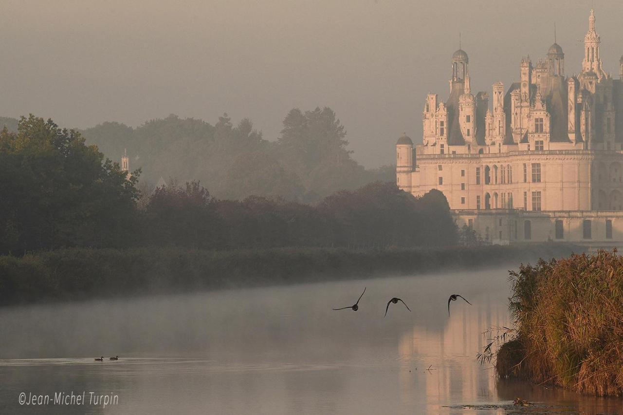 Gîte le Diapason Muides-sur-Loire Extérieur photo